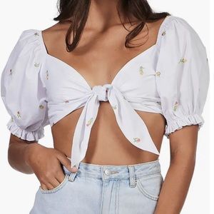 NWT, Charlie Holiday, Ivy Cotton Crop, Tulip, Top, Size Medium